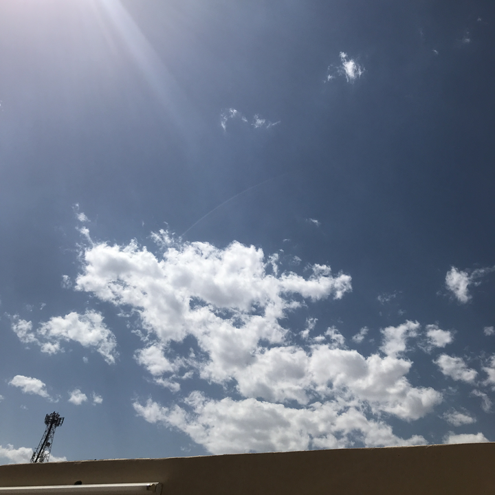 مشاركاتي في أنت الراصد