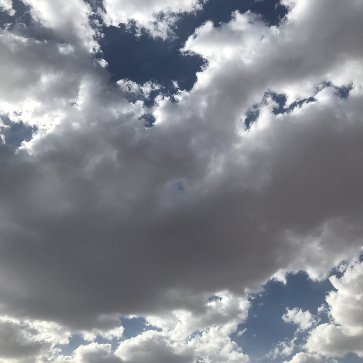 مشاركاتي في أنت الراصد