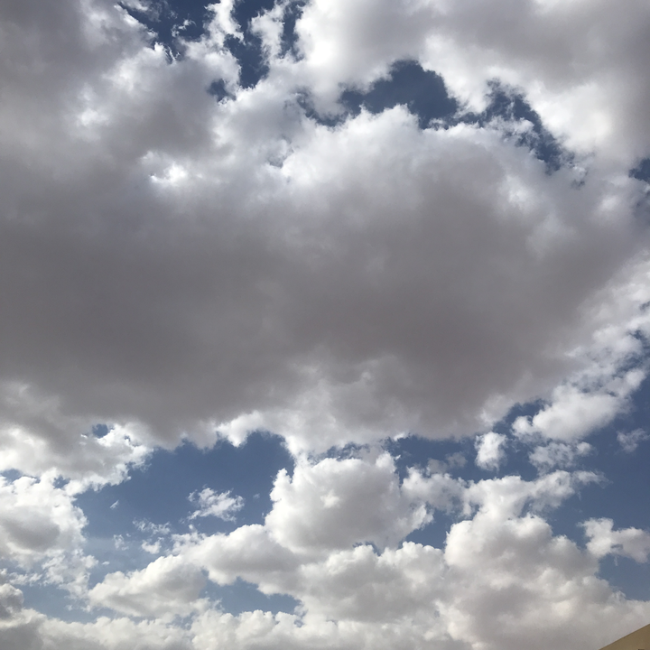 مشاركاتي في أنت الراصد