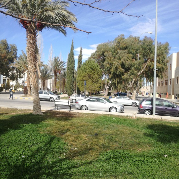 My Crowdsourcing Posts