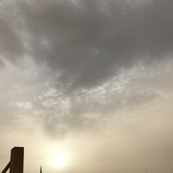 مشاركاتي في أنت الراصد