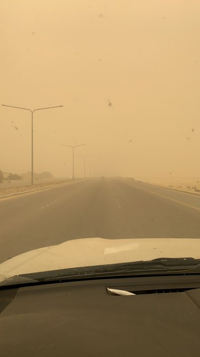 مشاركاتي في أنت الراصد