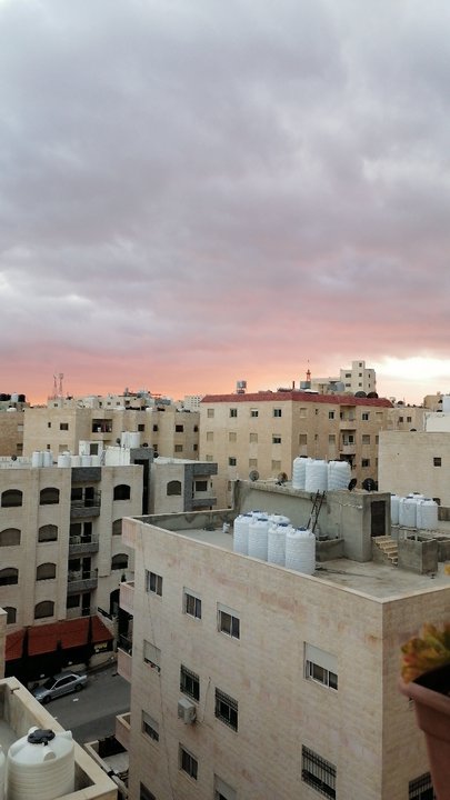 مشاركاتي في أنت الراصد