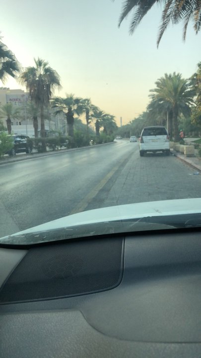 مشاركاتي في أنت الراصد