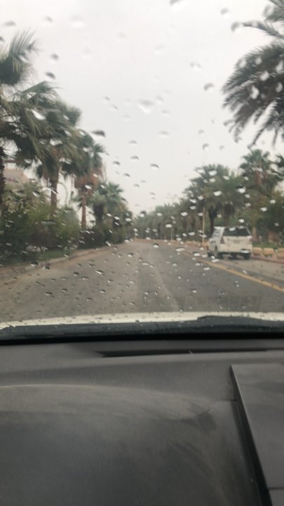 مشاركاتي في أنت الراصد