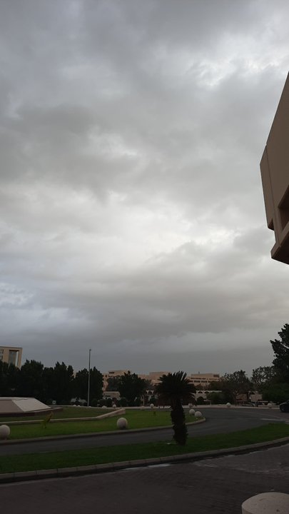 مشاركاتي في أنت الراصد