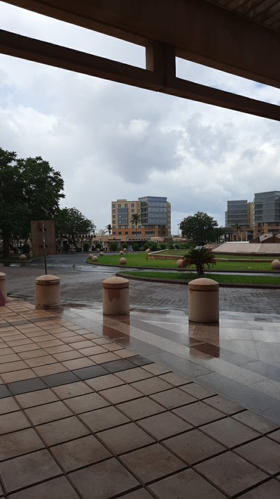 مشاركاتي في أنت الراصد