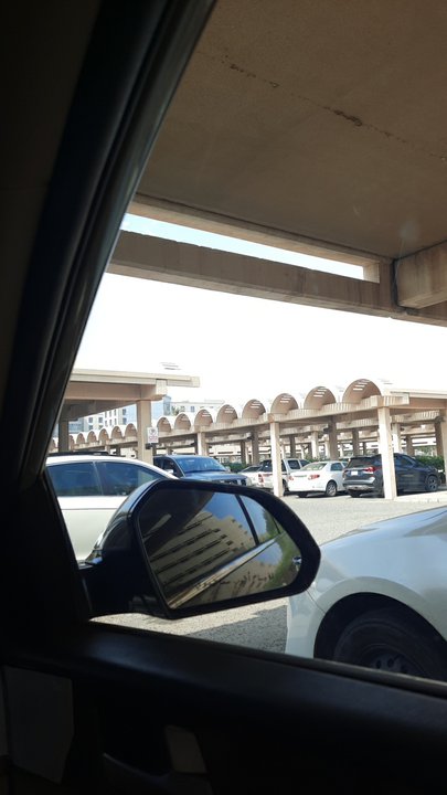 مشاركاتي في أنت الراصد