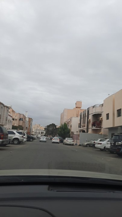 مشاركاتي في أنت الراصد