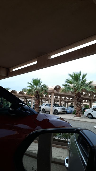 مشاركاتي في أنت الراصد