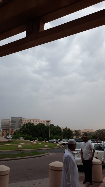 مشاركاتي في أنت الراصد