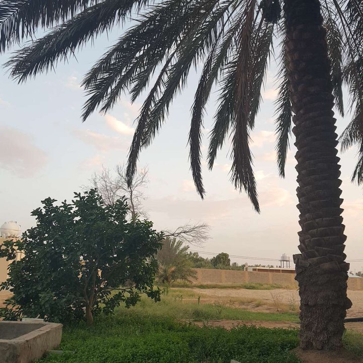 مشاركاتي في أنت الراصد