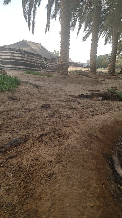 مشاركاتي في أنت الراصد