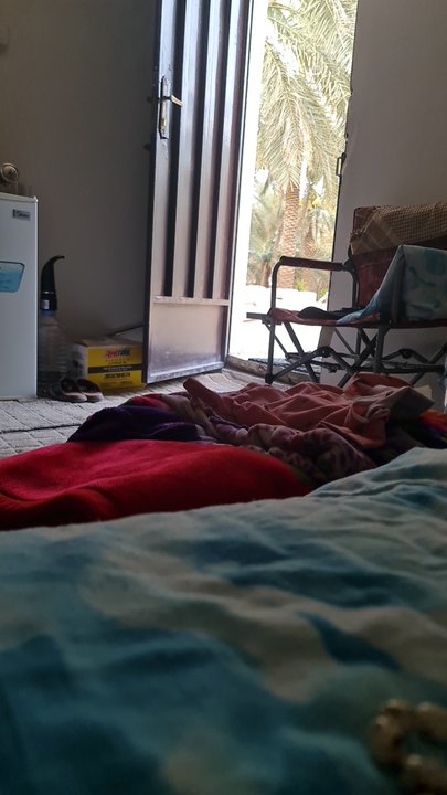 مشاركاتي في أنت الراصد