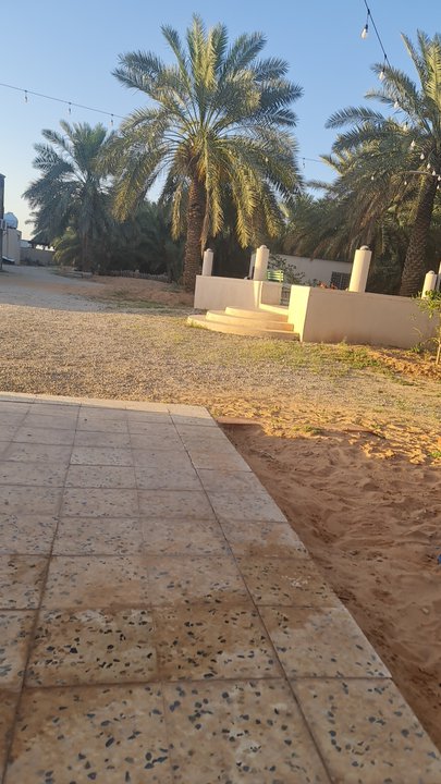 Mes publications Crowdsourcing