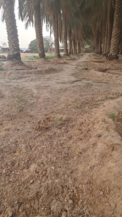 Mes publications Crowdsourcing