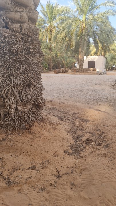 My Crowdsourcing Posts