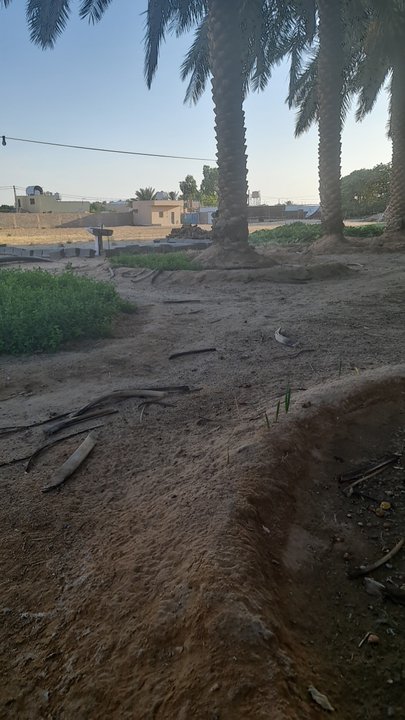 My Crowdsourcing Posts