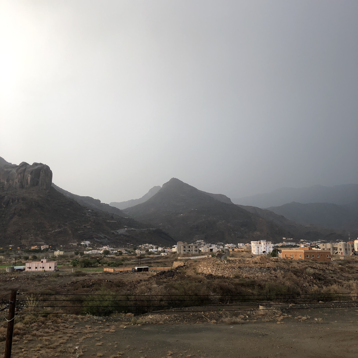 مشاركاتي في أنت الراصد