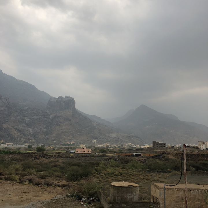 مشاركاتي في أنت الراصد