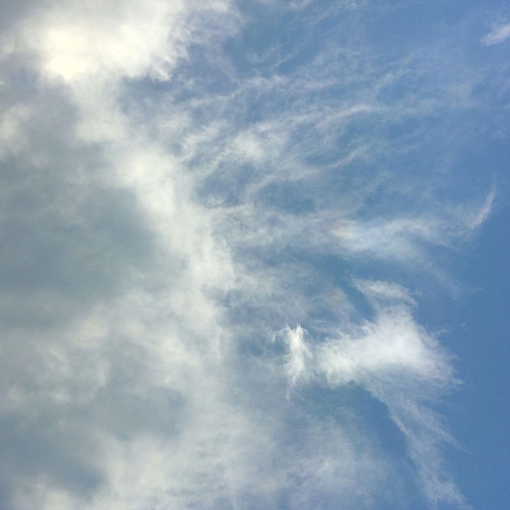 مشاركاتي في أنت الراصد