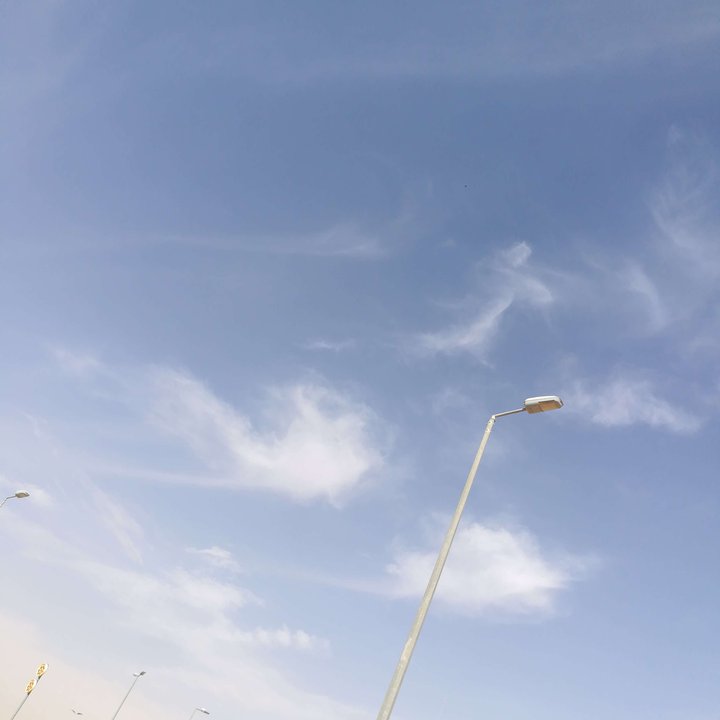 مشاركاتي في أنت الراصد