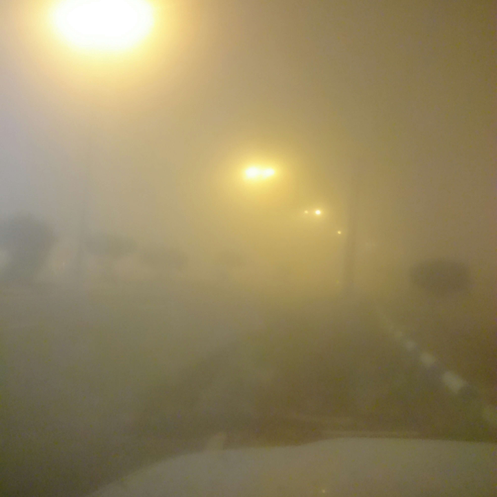 مشاركاتي في أنت الراصد