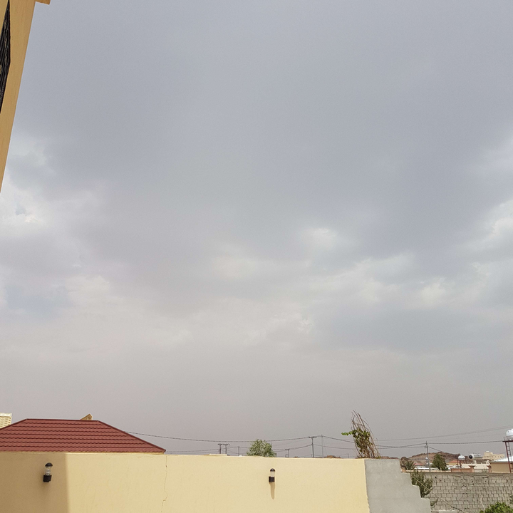 مشاركاتي في أنت الراصد