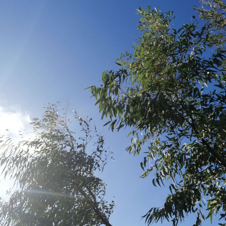 My Crowdsourcing Posts