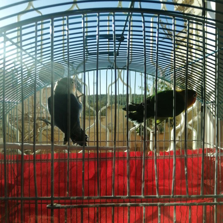 My Crowdsourcing Posts