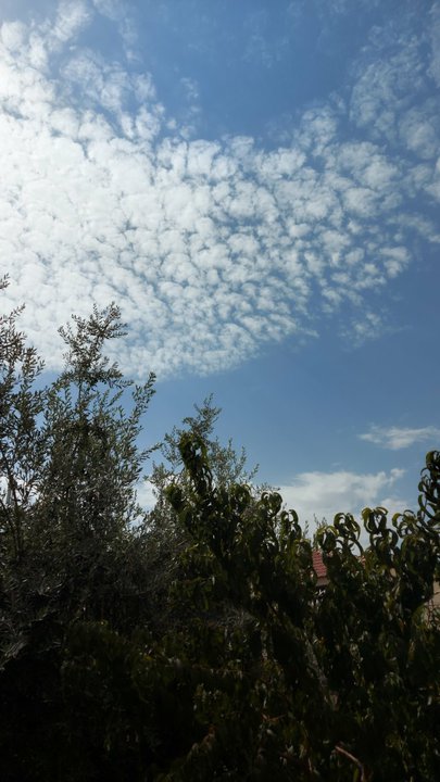 مشاركاتي في أنت الراصد