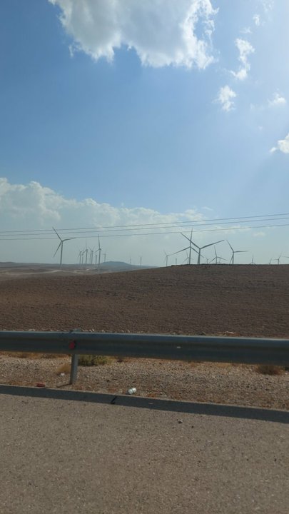 مشاركاتي في أنت الراصد