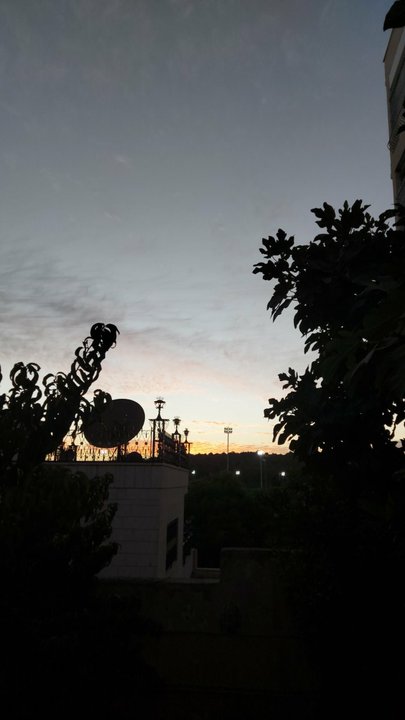 مشاركاتي في أنت الراصد