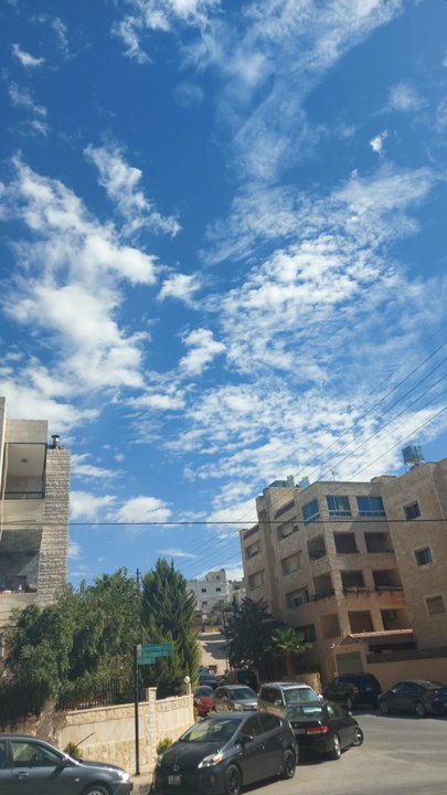 مشاركاتي في أنت الراصد