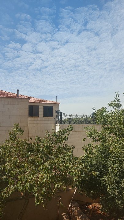 مشاركاتي في أنت الراصد