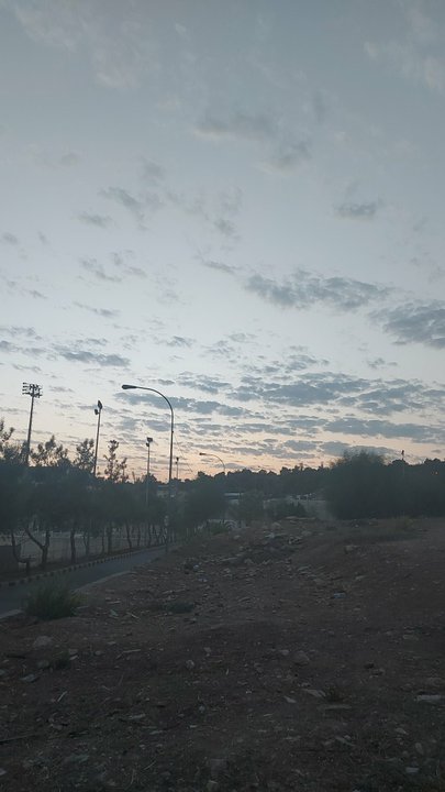 مشاركاتي في أنت الراصد