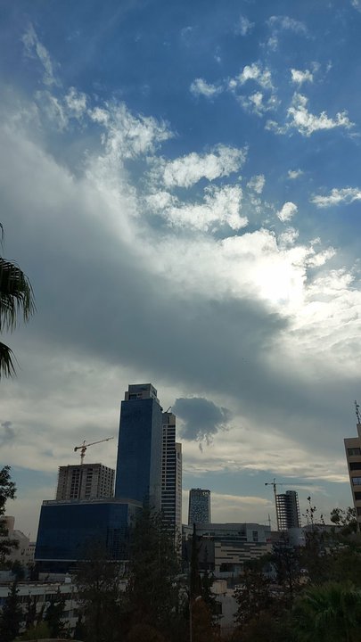 مشاركاتي في أنت الراصد