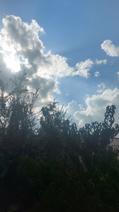 مشاركاتي في أنت الراصد