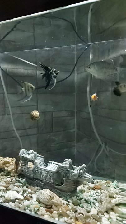 مشاركاتي في أنت الراصد