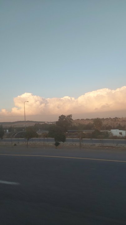 مشاركاتي في أنت الراصد