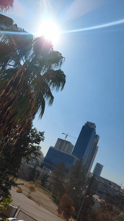 مشاركاتي في أنت الراصد