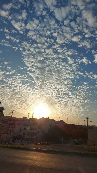 مشاركاتي في أنت الراصد