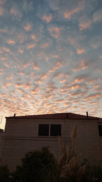 مشاركاتي في أنت الراصد