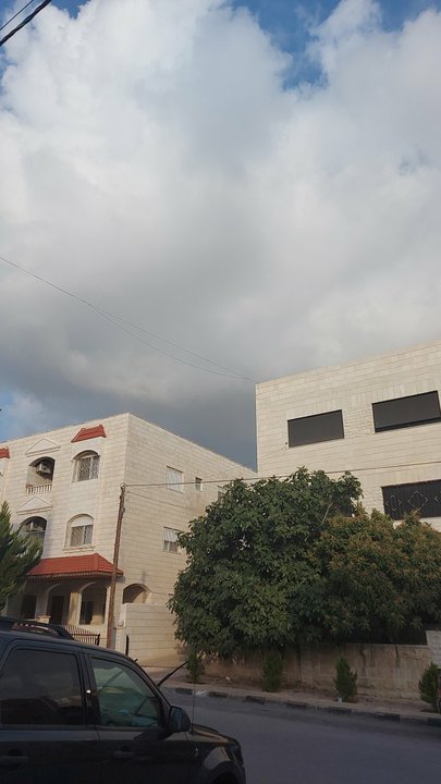 مشاركاتي في أنت الراصد