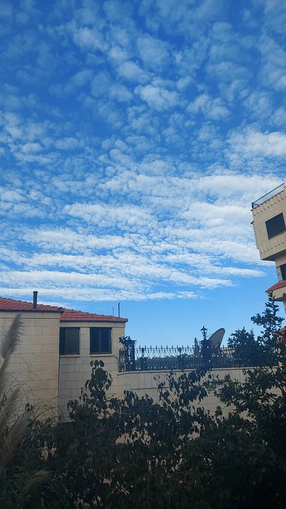 مشاركاتي في أنت الراصد