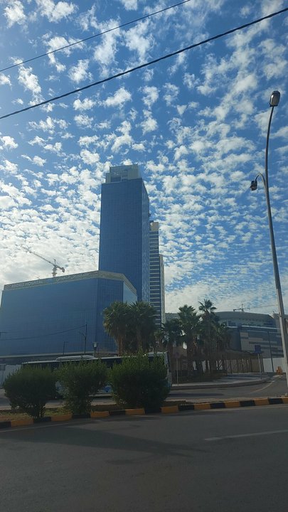 مشاركاتي في أنت الراصد