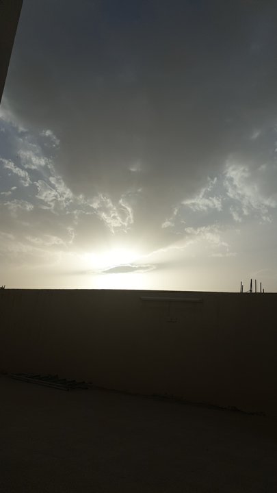 مشاركاتي في أنت الراصد