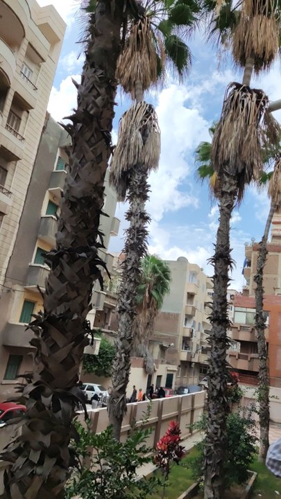 مشاركاتي في أنت الراصد