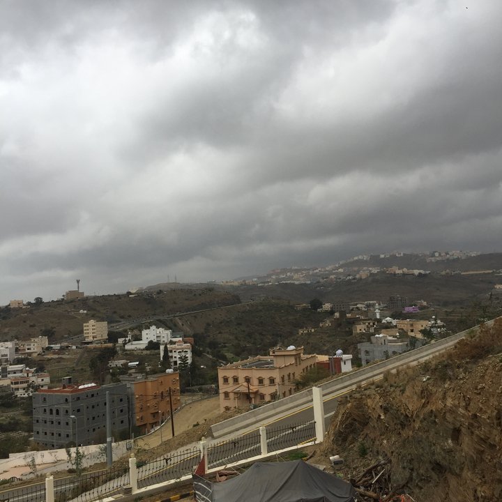 مشاركاتي في أنت الراصد