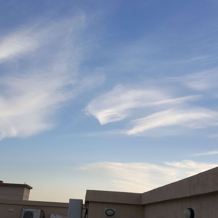 مشاركاتي في أنت الراصد